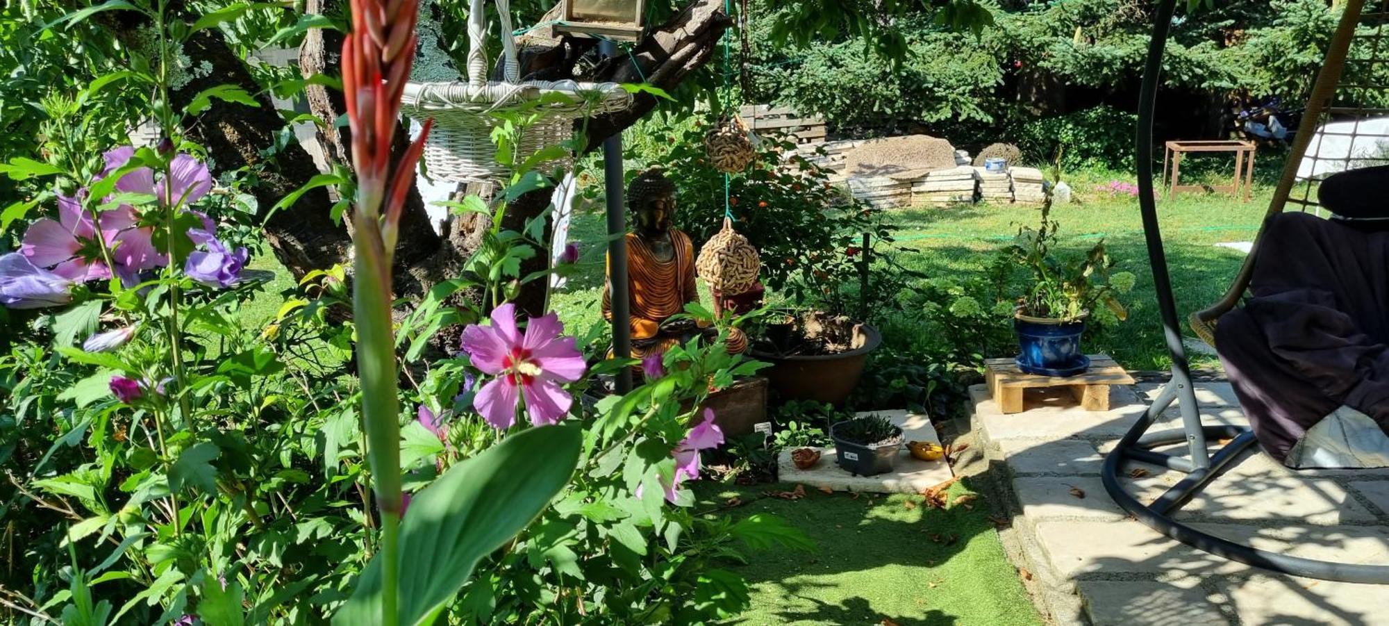 L'Olivier Chez Mame Marthe Villa Vallon-Pont-d'Arc Ngoại thất bức ảnh
