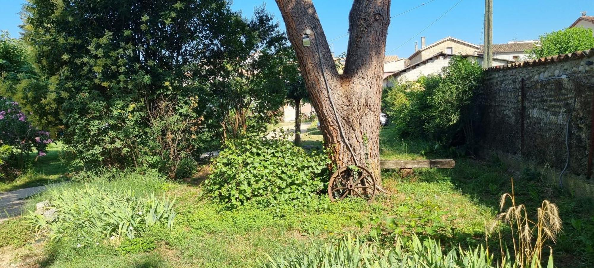 L'Olivier Chez Mame Marthe Villa Vallon-Pont-d'Arc Ngoại thất bức ảnh